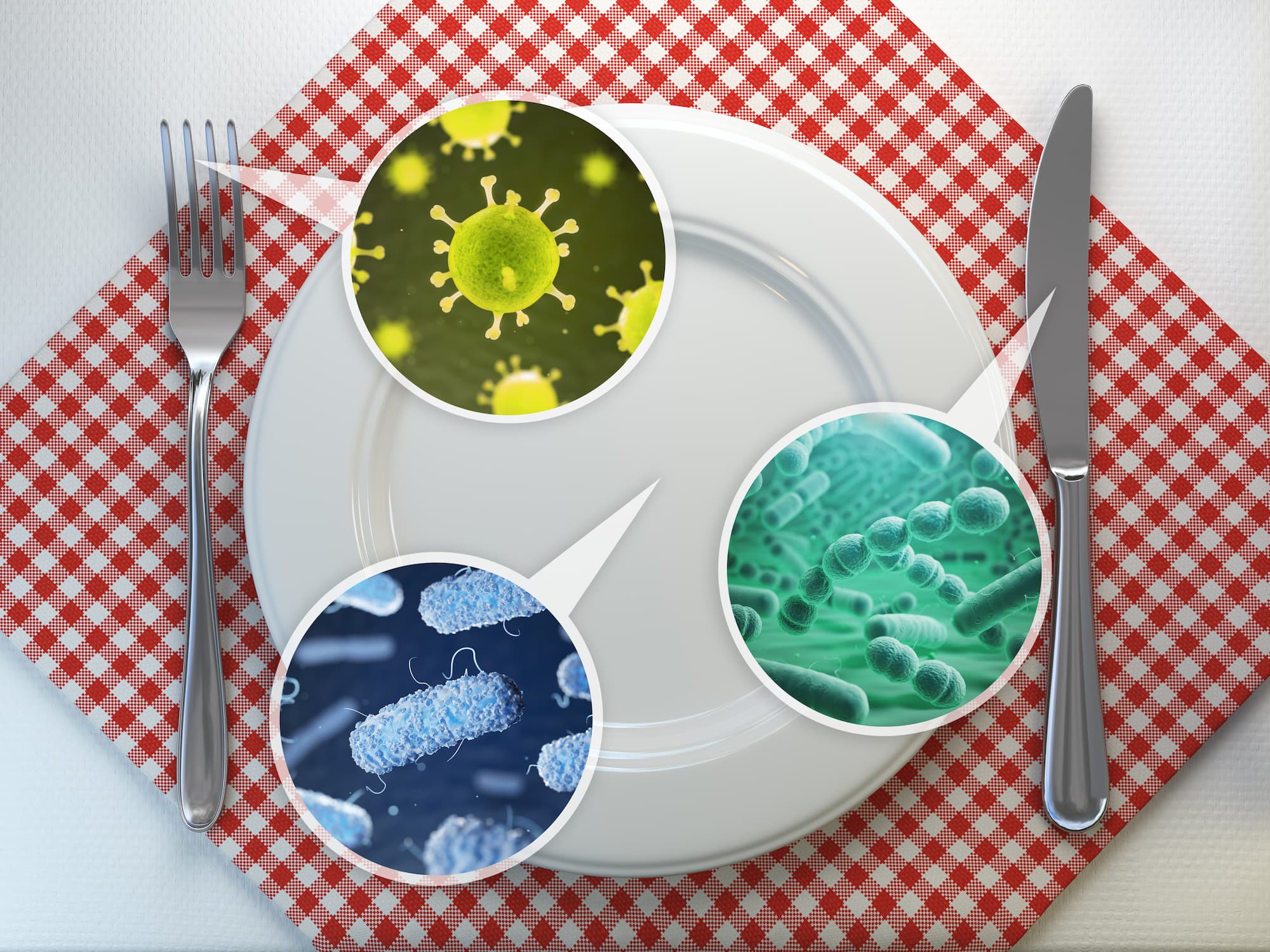 ADOBESTOCK_281982719 | Nuisifix Pourquoi les cuisines et salles de bains nécessitent-elles une désinfection plus régulière que les autres pièces ? Bischheim 0